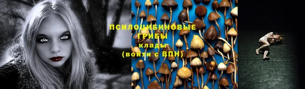 индика Арсеньев