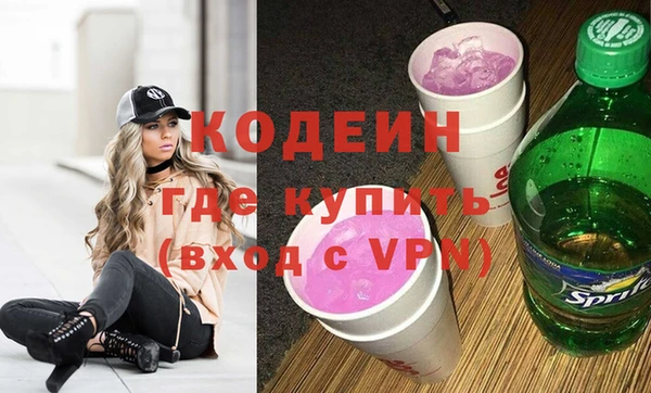 индика Арсеньев