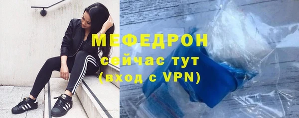 индика Арсеньев