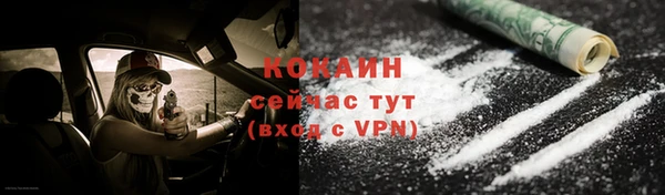 индика Арсеньев
