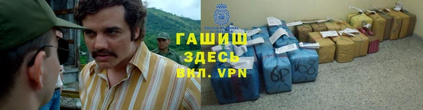 индика Арсеньев