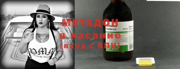 индика Арсеньев