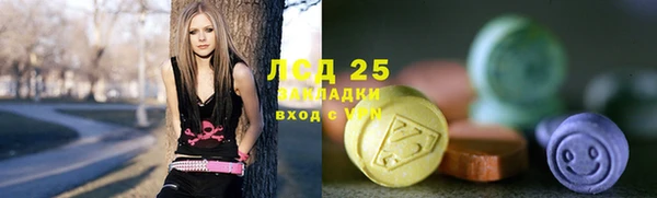индика Арсеньев