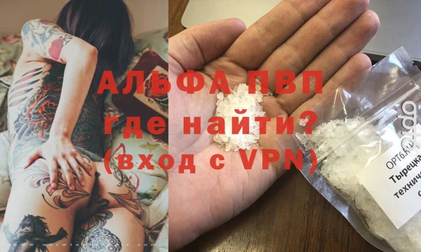 индика Арсеньев
