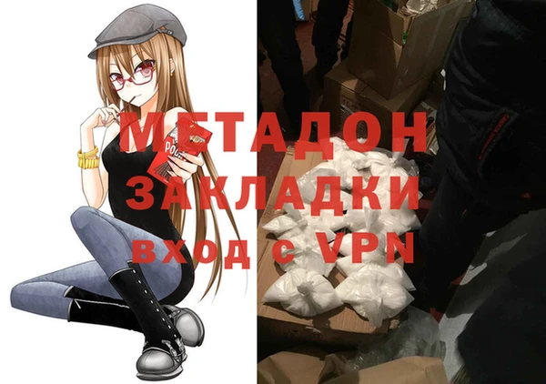 индика Арсеньев
