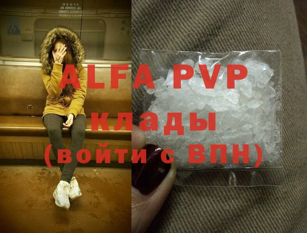 индика Арсеньев