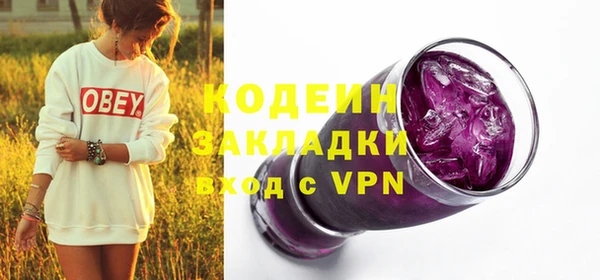 индика Арсеньев