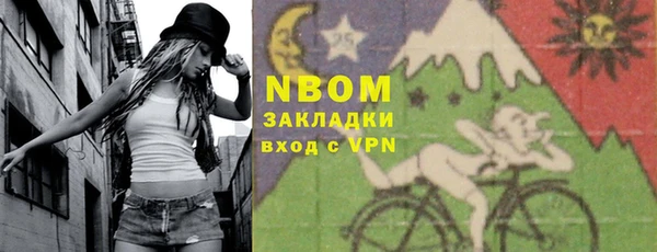 индика Арсеньев